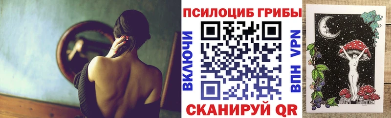 Купить закладки  Назарово  Псилоцибиновые грибы мицелий 